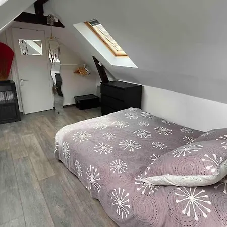 Duplex Cosy Myfontainebleau Hyper Centre * Фонтенбло