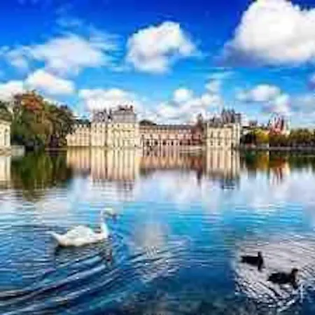 Apartment Duplex Cosy Myfontainebleau Hyper Centre Fontainebleau