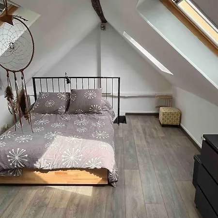 Duplex Cosy Myfontainebleau Hyper Centre Апартаменты Фонтенбло