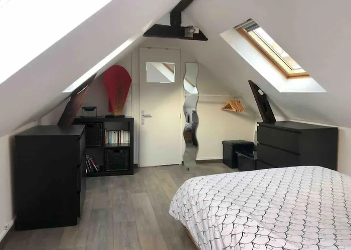 Duplex Cosy Myfontainebleau Hyper Centre פונטנבלו